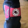 Morgan & Morgan / ForThePeople.com - dog injury to 6 year old child - Photo 1