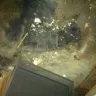 Advanced Realty Property Management - General Terrible Treatment - Photo 2