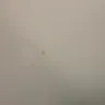 Toyota - sold a defective brand new car - Photo 1