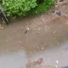 Kolkata Municipal Corporation - Pathetic road & drainage condition of Madurdaha, Kolkata - Photo 2