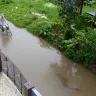 Kolkata Municipal Corporation - Pathetic road & drainage condition of Madurdaha, Kolkata - Photo 3