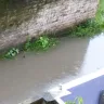 Kolkata Municipal Corporation - Pathetic road & drainage condition of Madurdaha, Kolkata - Photo 4