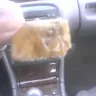 Sonic Electronix - band aid with blood in sandwich - Photo 3
