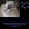 East End Ragdolls / Jennifer Riddle - TOOK MONEY AND RAN!! - Photo 1