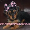 Alabama Toys & Teacups Boutique - scam - Photo 1
