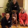 Facebook - SELLS SICK PUPPIES - Photo 1