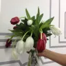 Flora2000 / Orios - Rotten bouquet & each flower in a scotch tape