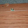 National Floors Direct - not honoring installation guarantee - Photo 4
