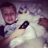 Southern dolls / southern ragdolls - Sells sick kittens