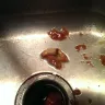 Dollar General - food is unsanitary - Photo 1