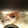 Dollar General - food is unsanitary - Photo 2