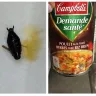 Campbell's - I found a bug in my soup