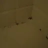 Bath Fitter Franchising - Will not honor lifetime warranty - Photo 1