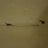Bath Fitter Franchising - Will not honor lifetime warranty - Photo 2