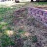 TruGreen - killed my lawn - Photo 2