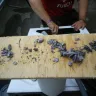 Indesit - engineers - Photo 1