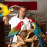 Birds by Joe - Runs bird mill - Photo 1
