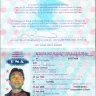 Ipway International Trading JSC, Trien Van Le aka Perri - Fraud