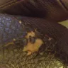 Value City Furniture - Warranty Scam - Photo 1