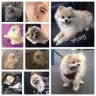 Banfield Pet Hospital - banfield in deptford, nj killed my dog! - Photo 1