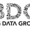 Big Data Group LLC - Non Payment of Invoices and Damages to clients