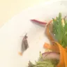 Coles Supermarkets Australia - moth in the lettuce - Photo 1