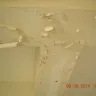 Dulux Paints - cheating by supplying three year old paint - Photo 4