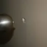 Whirlpool - roach infestation - Photo 4