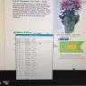 JustFlowers.com - service - Photo 1