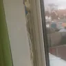 Anglian Windows / Anglian Home Improvements - poor windows - Photo 1