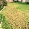 TruGreen - service - Photo 1