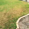 TruGreen - service - Photo 2