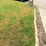 TruGreen - service - Photo 4