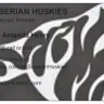 AFC Siberian Huskies - Stealing Hold Deposits