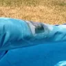 Intex Recreation - top liner ring of pool cracking and falling apart - Photo 1
