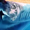 Intex Recreation - top liner ring of pool cracking and falling apart - Photo 2