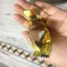 Toblerone - Fungi found in toblerone mini bars - Photo 2