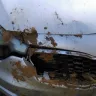 KIA Motors - kia forte 2014 hydraulic braking system - Photo 1