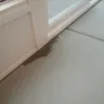 Champion Windows - sun room leaks - Photo 3