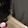 Coca-Cola - coke freestyle, tea station and refrigerator - Photo 1