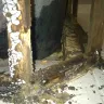 Hometeam Pest Defense - Termite (no)Protection