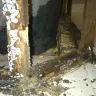 Hometeam Pest Defense - Termite (no)Protection - Photo 1