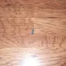 Mannington Mills - TrafficMaster Flooring - Photo 4