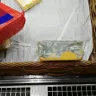 Pick n Pay - brand gouda cheese - Photo 2