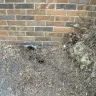 Olshan Foundation Solutions - Work and warranty - Photo 2