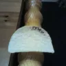 Pringles - brown/black dried liquid on it - Photo 2