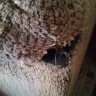 The Brick - Products defective - Photo 6
