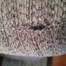 The Brick - Products defective - Photo 7