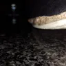 Aldo - shoes starting falling apart after four days and aldo just ignores it - Photo 2