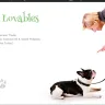 Template Monster - Liam Tornhill - Photo 2